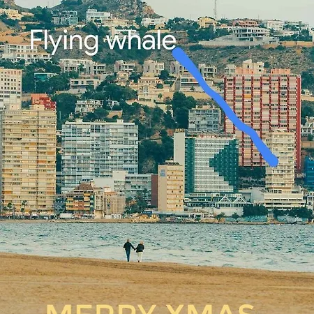 Apartment Portofino Flying Whale *